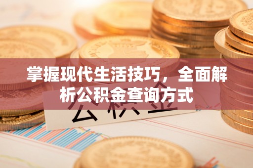 温泉掌握现代生活技巧，全面解析公积金查询方式